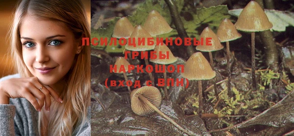 ГАЛЛЮЦИНОГЕННЫЕ ГРИБЫ Саяногорск