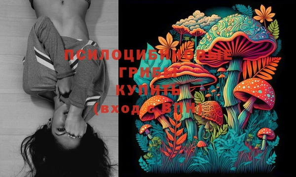 mdpv Сафоново